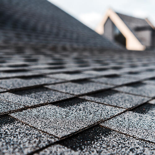 Close-up of a shingled roof with a background of house rooftops and sky.